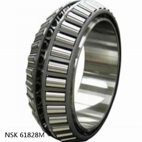 61828M NSK Tapered Roller Bearings Double-row