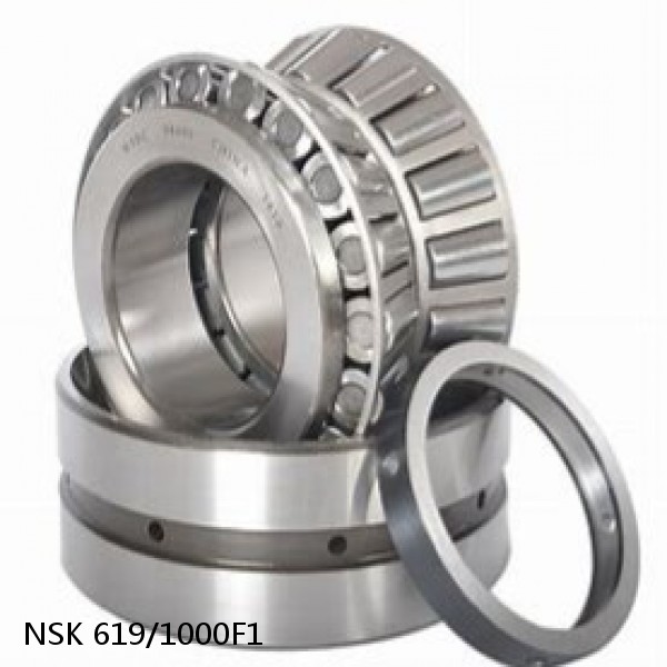 619/1000F1 NSK Tapered Roller Bearings Double-row