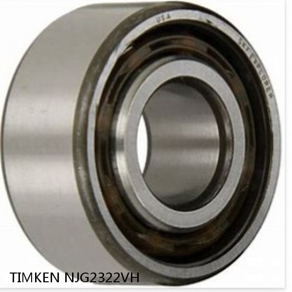 NJG2322VH TIMKEN Double Row Double Row Bearings #1 small image