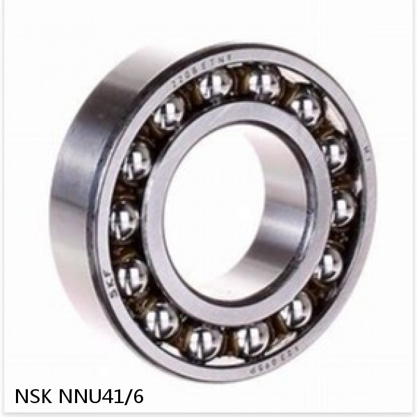 NNU41/6 NSK Double Row Double Row Bearings #1 small image
