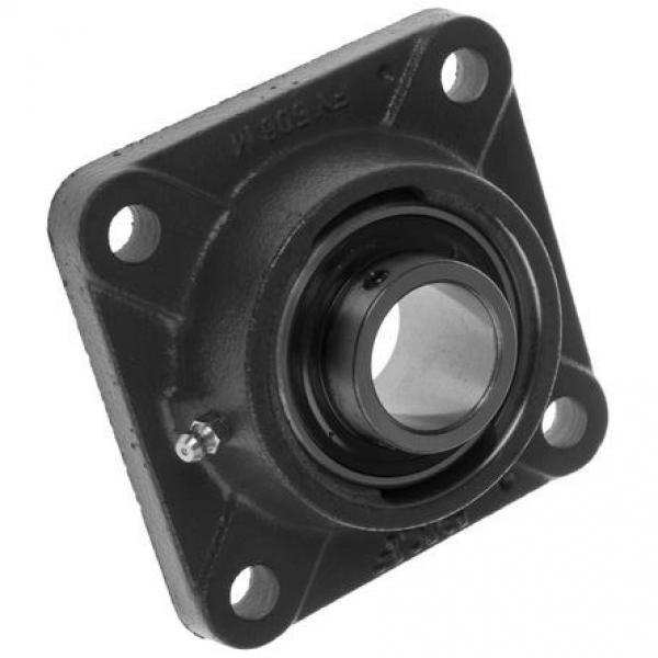 ISO UCP305 bearing units #1 image