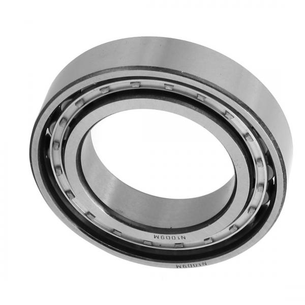 55 mm x 90 mm x 18 mm  NSK N1011RXZTPKR cylindrical roller bearings #1 image